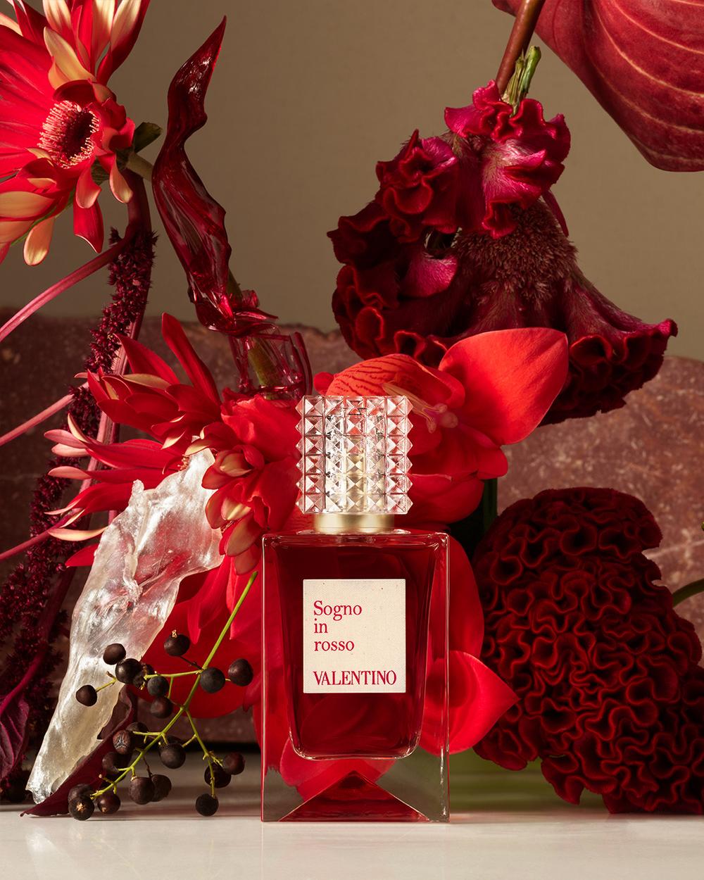 SognoInRosso_Valentino_AnatomyOfDreams