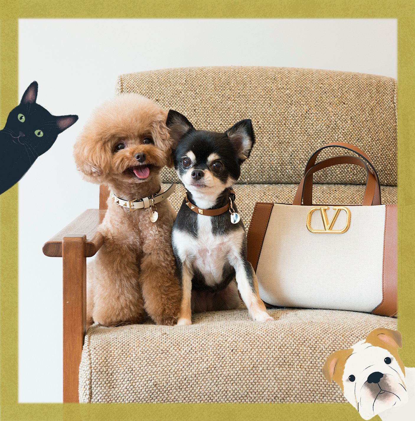 Valentino Garavani Rockstud Pet | Valentino