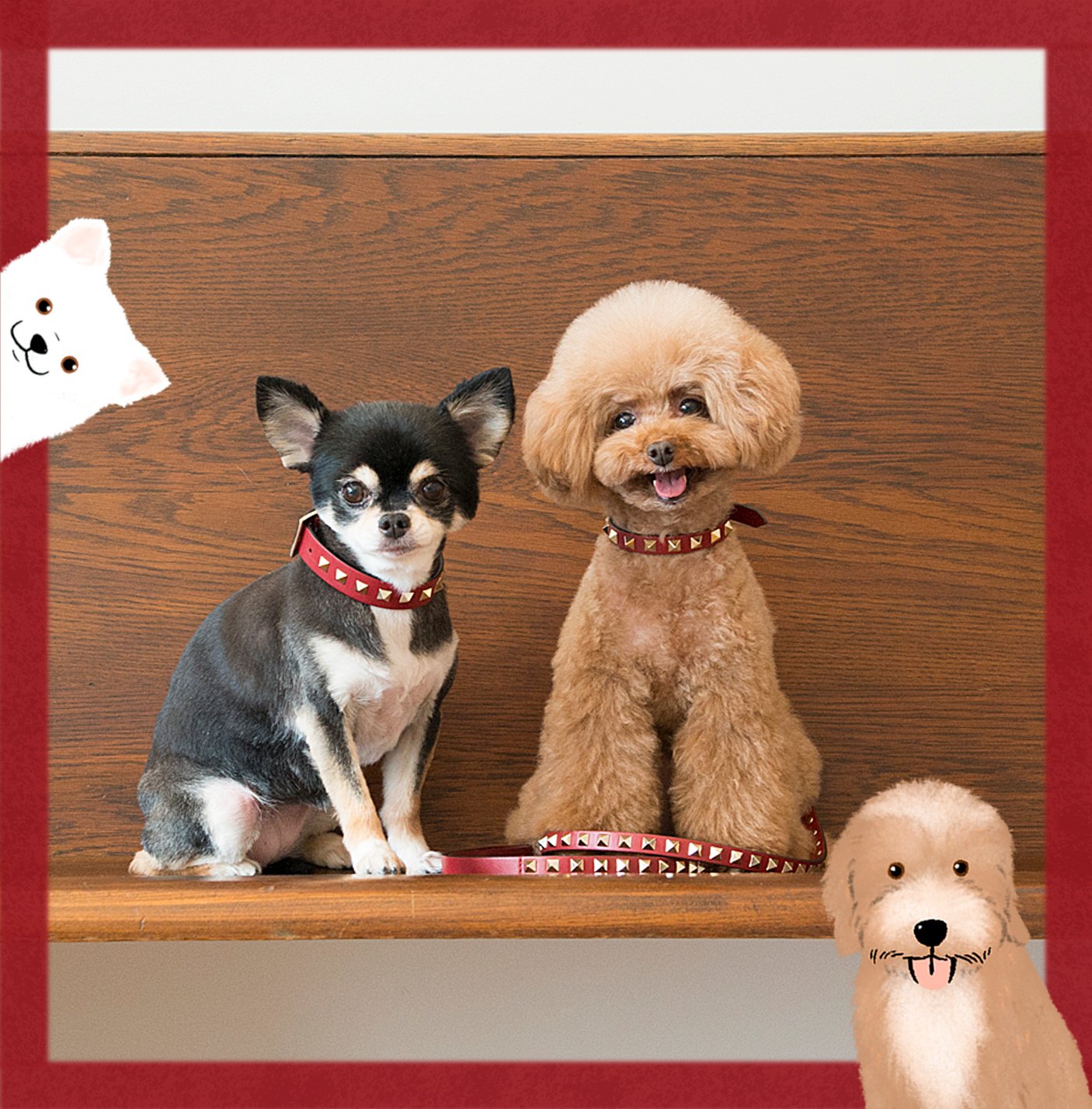 Valentino Garavani Rockstud Pet | Valentino