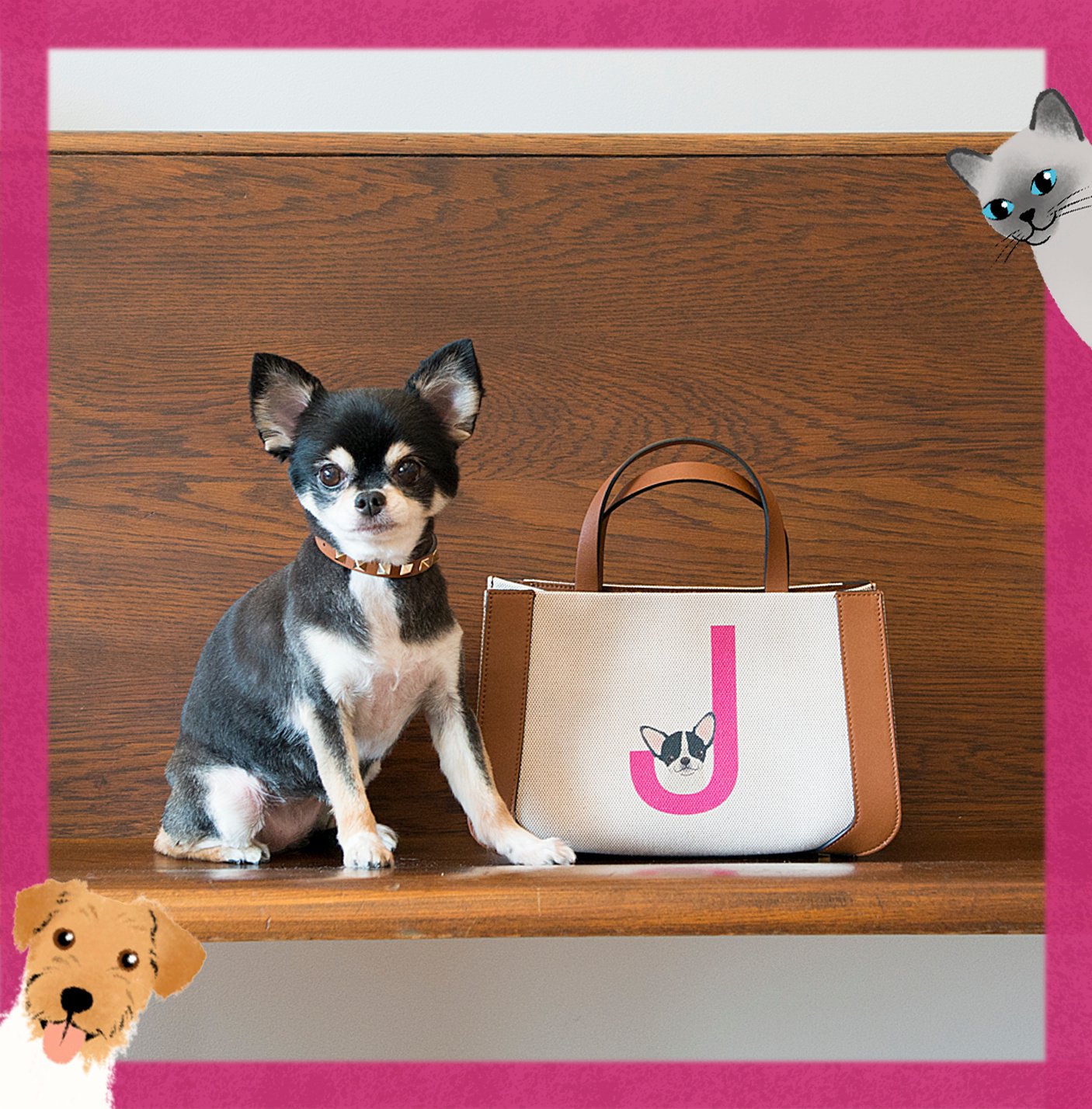 Valentino Garavani Rockstud Pet | Valentino