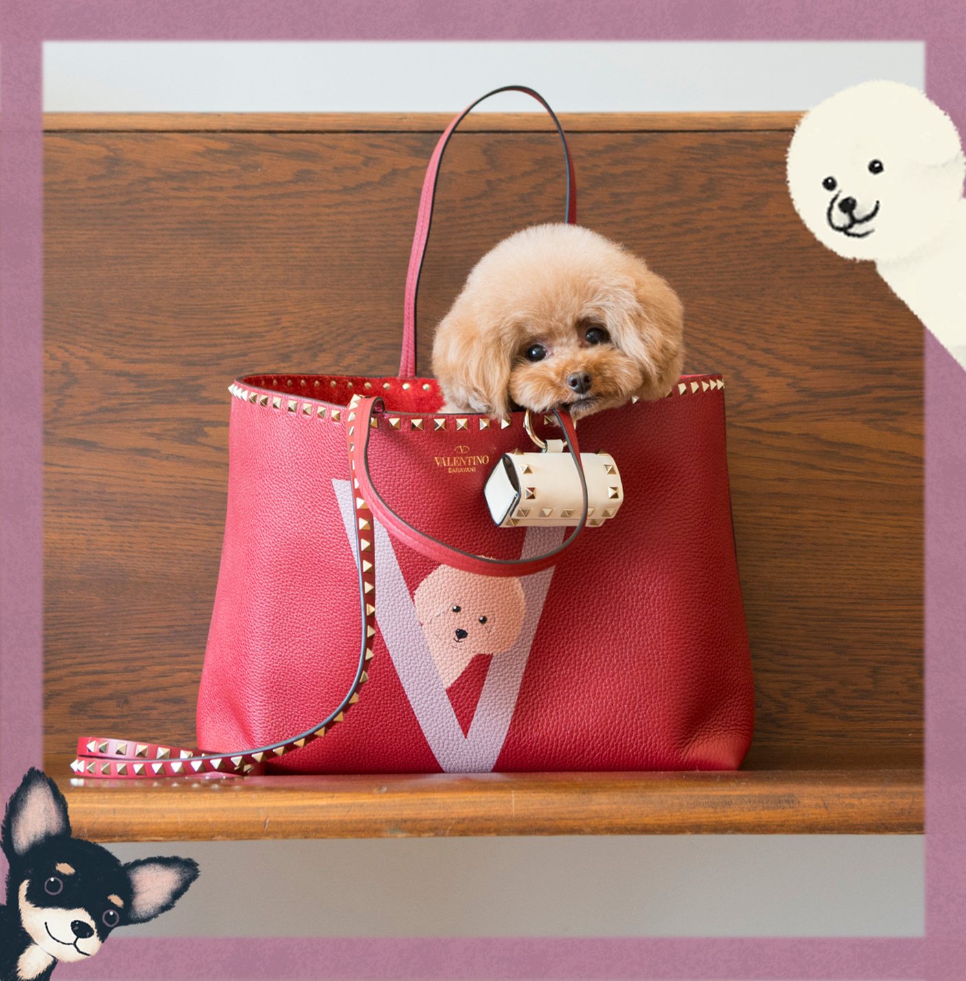 新品　未使用　VALENTINO GARAVANI 犬　リード　ヴァレンティノ 新品未使用VALENTINO GARAVANI 犬リードヴァレンティノ