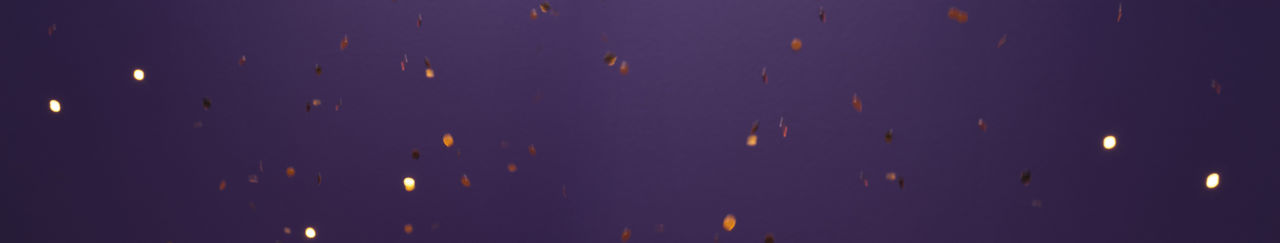 TopFullHalf_TPC_ExclusiveServices-BG_v1