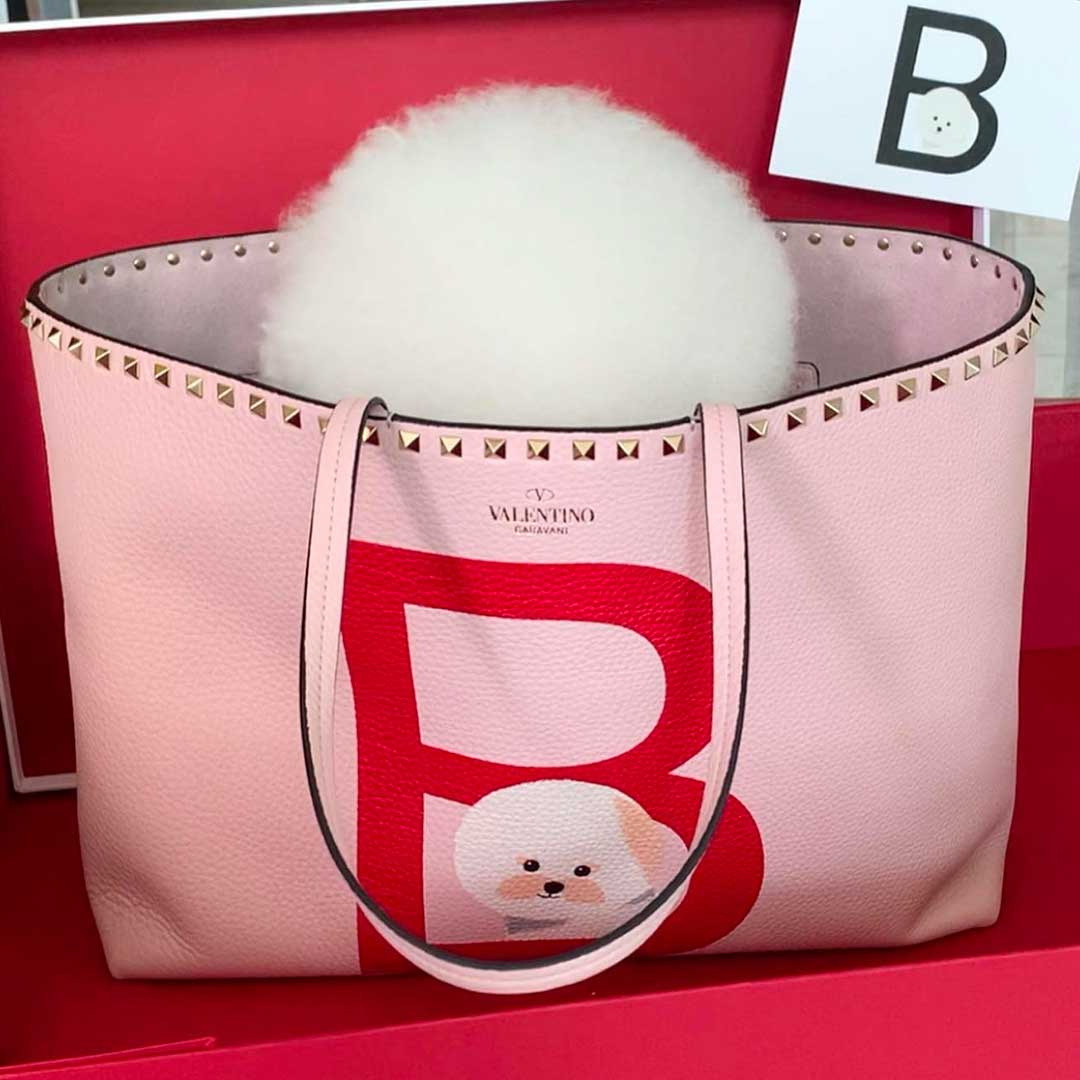 valentino pet bag