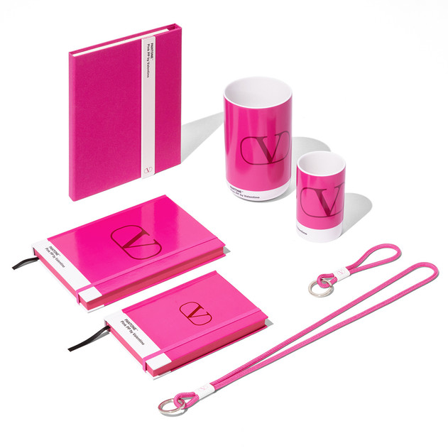 pantone pink pp valentino