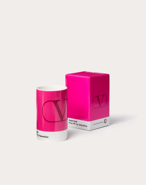 pantone pink pp valentino