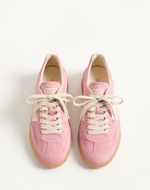  - Candy Rose/glace