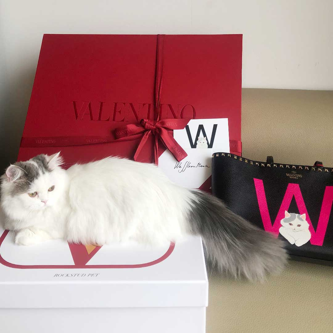 valentino pet bag