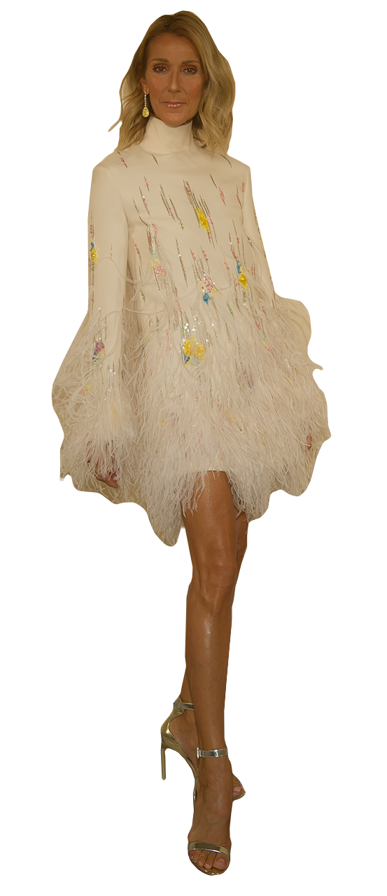 004_Celine-Dion_NIN_3347